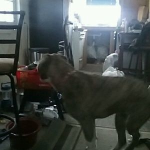 Meet your Posher, Mike